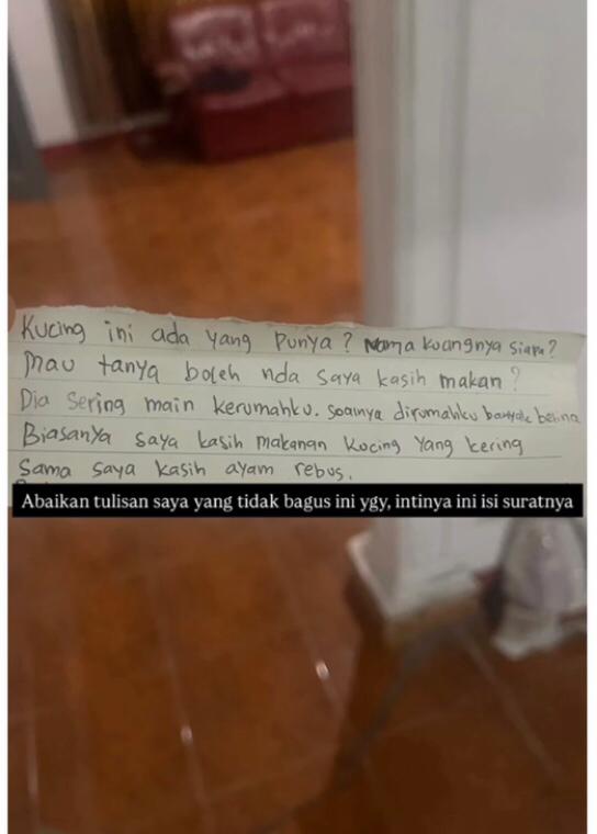 Surat untuk si pemilik kucing dari si cewek (IG Lambe Gosip)